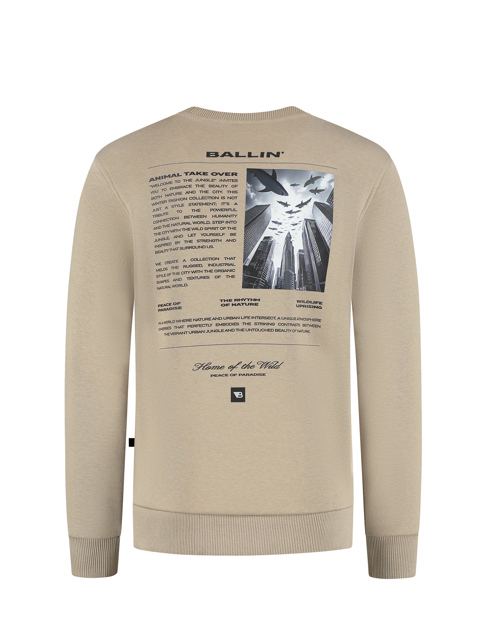 Ballin Junior Take Over Sweater