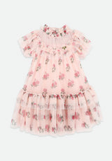 Angel’s face Georgette Flower Tulle Dress Pale Pink
