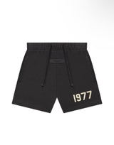 Essentials Iron 1977