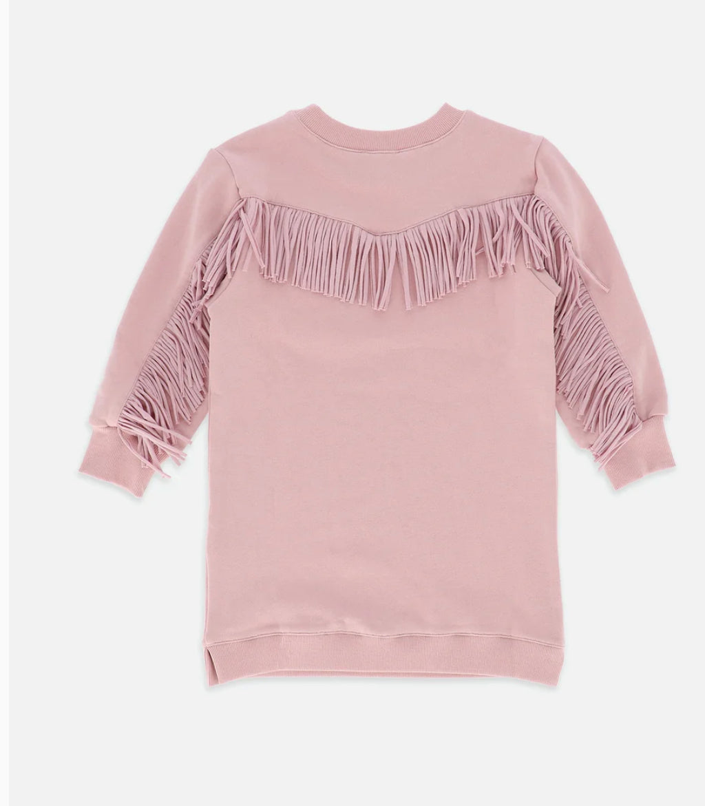 Angel’s face Jessie Cowgirl Dress Vintage Rose
