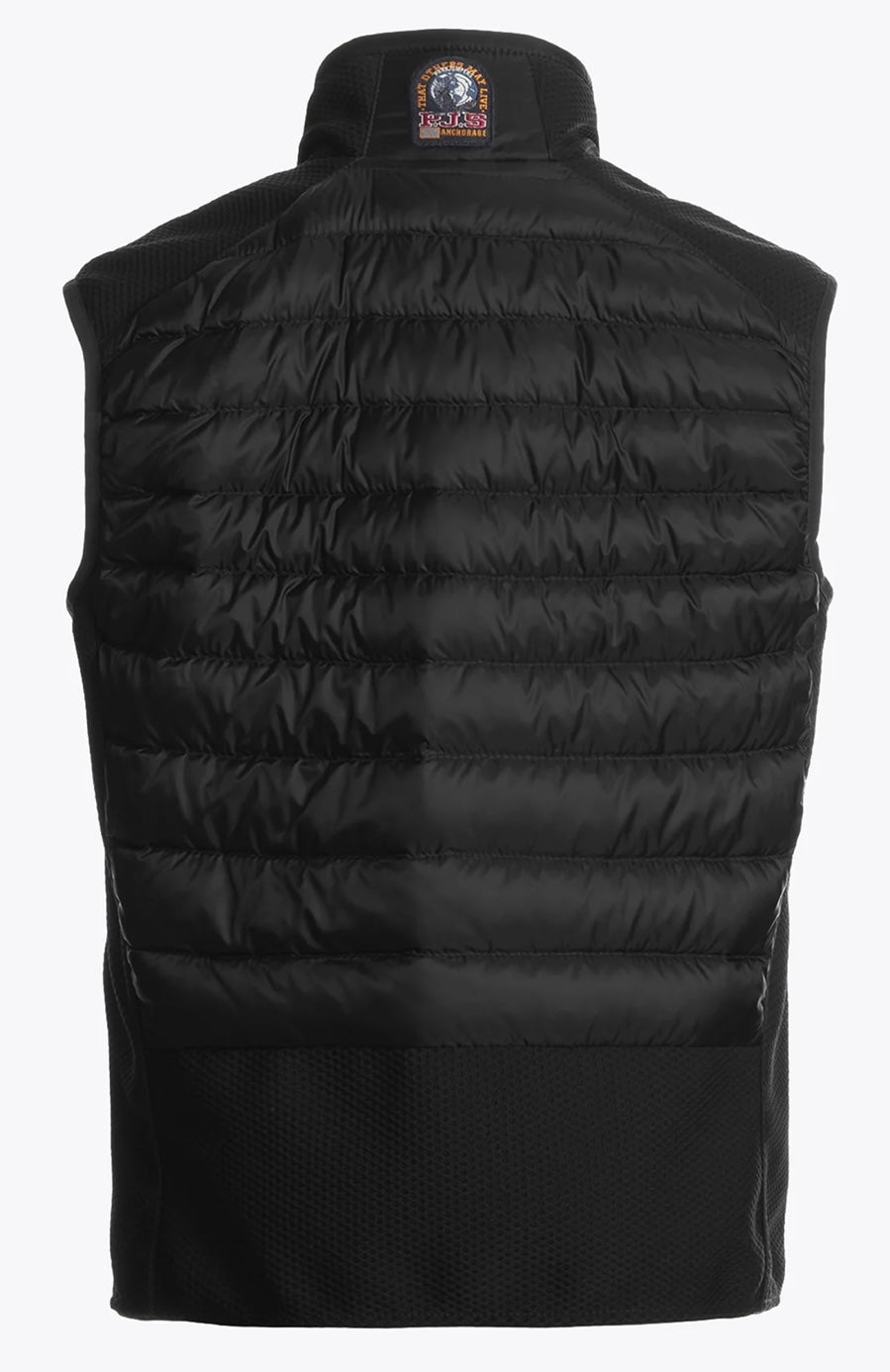 Parajumpers zavier