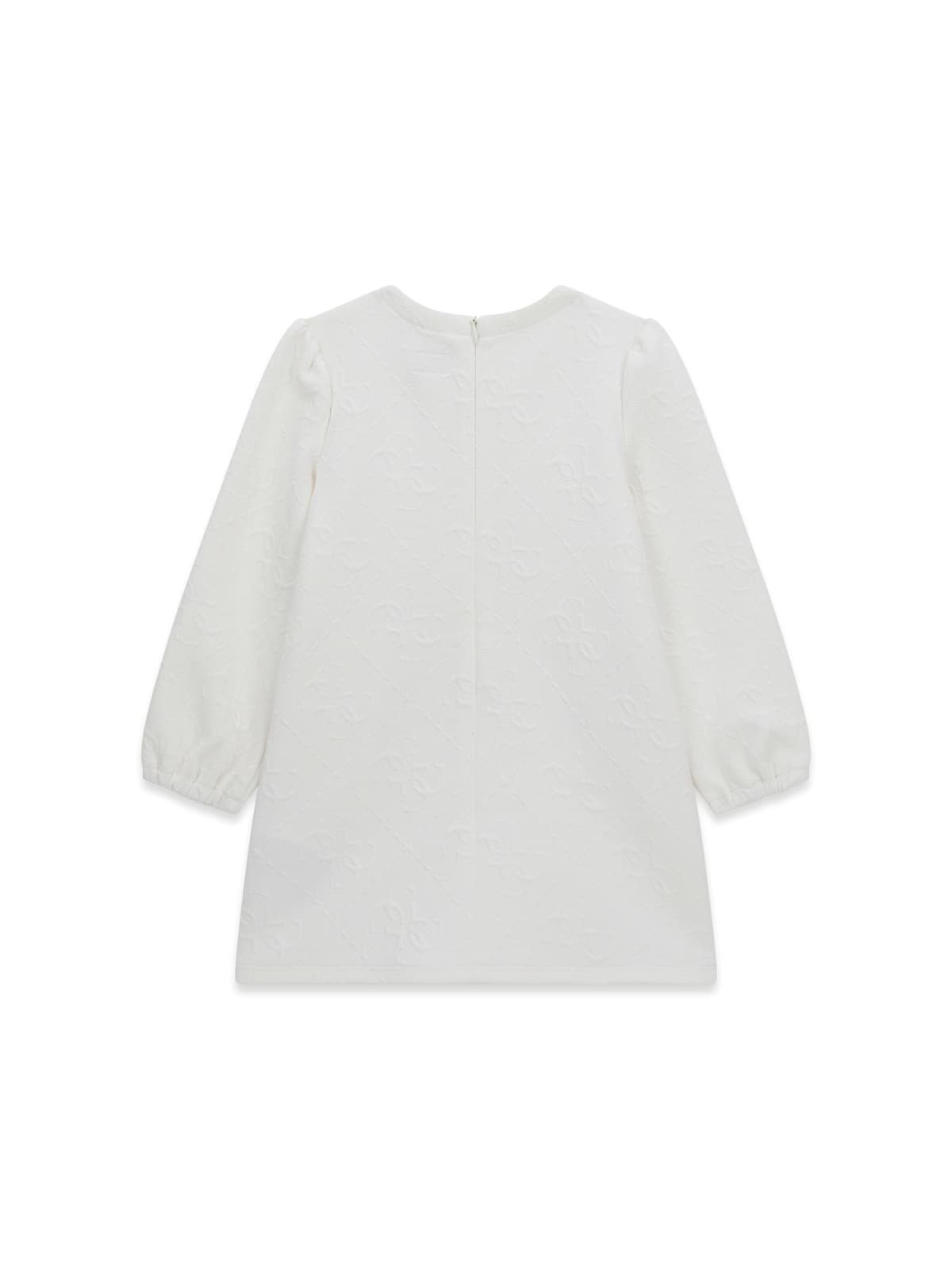 Guess Jacquard A line dress